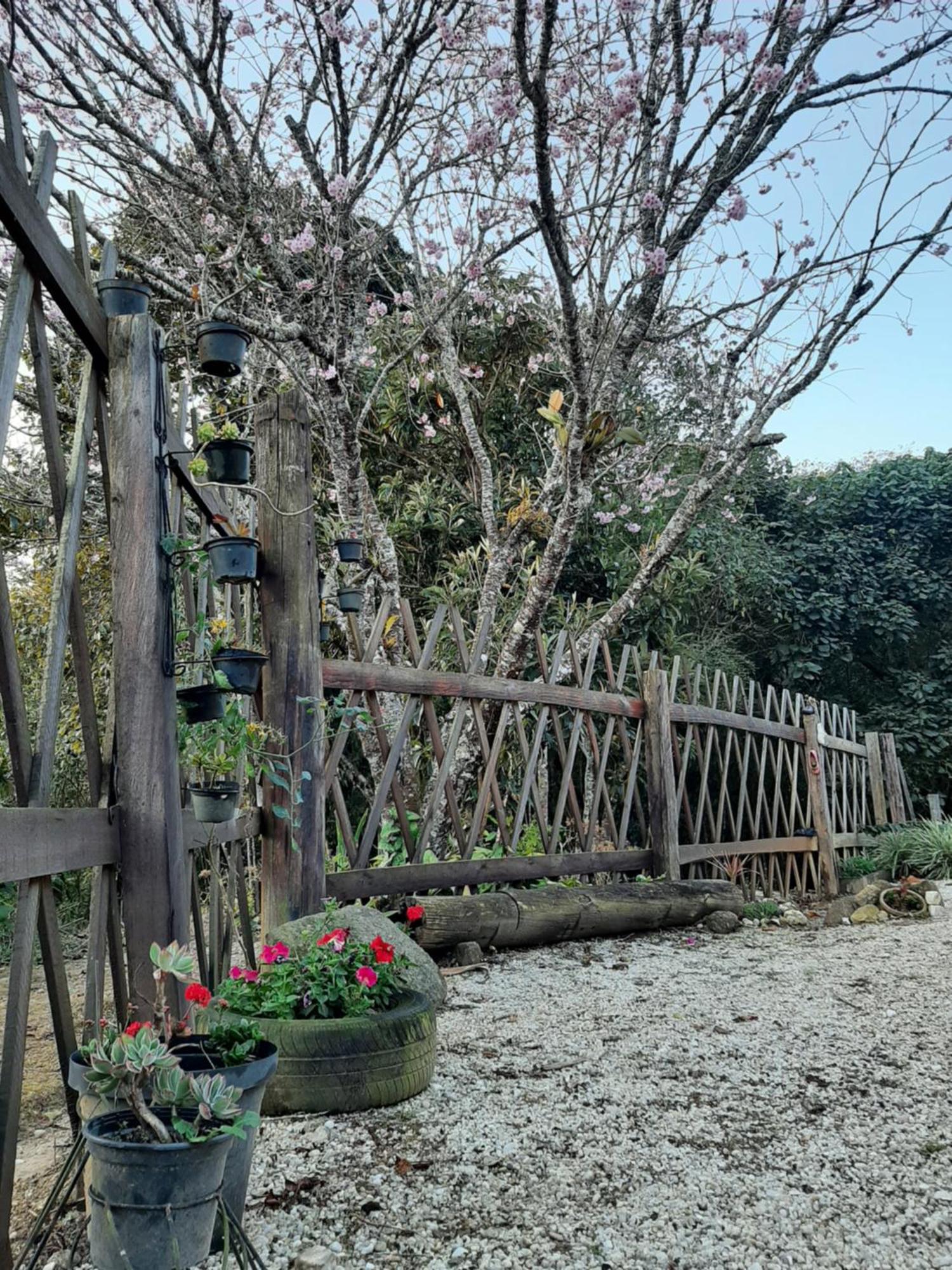 Вилла Casa Kiiro, Um Ambiente Tranquilo E De Sossego. Санту-Антониу-ду-Пиньял Экстерьер фото